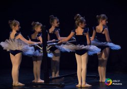 danse 03 classique 2017
